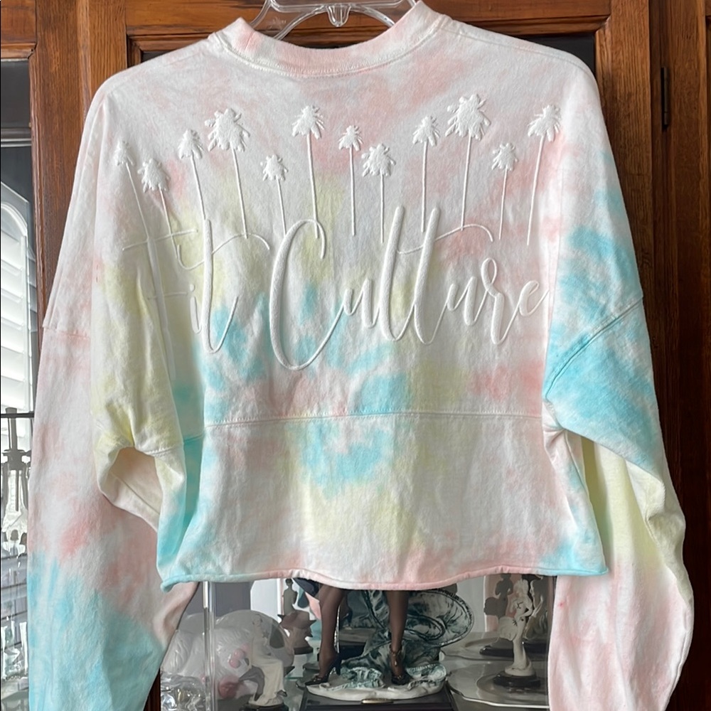 Disney Parks Spirit Jersey Pastel Rainbow Cropped Sweatshirt